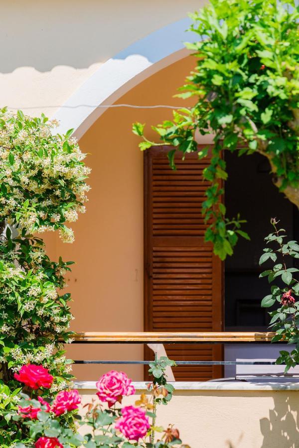 Ilena Hotel อาคาราวี ภายนอก รูปภาพ