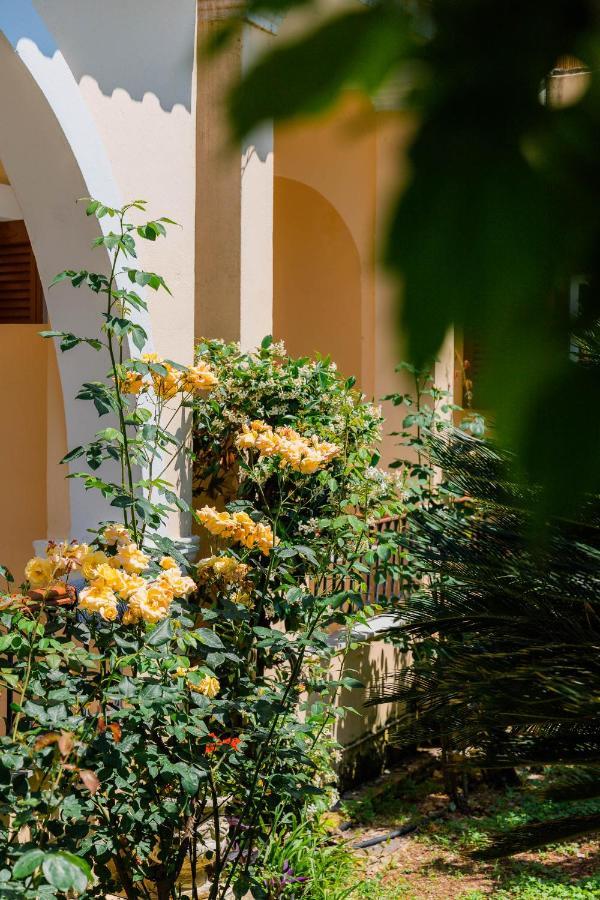 Ilena Hotel อาคาราวี ภายนอก รูปภาพ