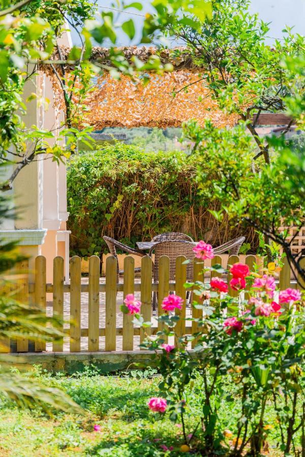 Ilena Hotel อาคาราวี ภายนอก รูปภาพ